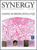 Cover of Fall 2008 Synergy Issue
