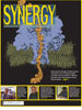 Cover of Summer 2006 Synergy Issue