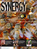 Cover of Summer 2007 Synergy Issue