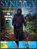Cover of Winter 2010 Synergy Issue