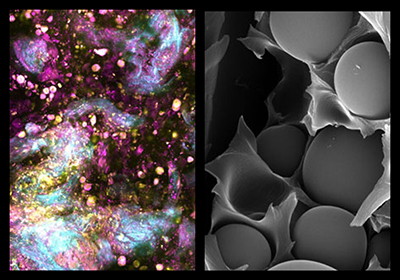 Images by Jaena Park and Kelly Chang.