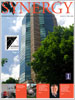 Cover of Fall 2009 Synergy Issue