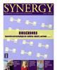 Cover of Fall 2010 Synergy Issue