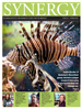 Cover of Spring 2011 Synergy Issue