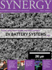 Cover of Winter 2012 Synergy Issue
