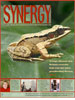 Cover of Spring 2006 Synergy Issue
