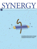 Cover of Winter 2013 Synergy Issue