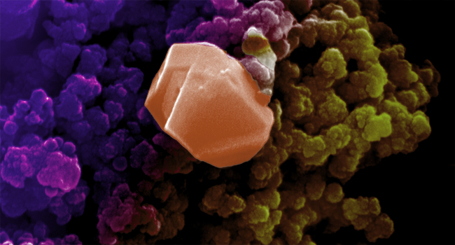 Scanning electron microscopy of silver nanoparticle-coated, nanocauliflower shaped Hafnium oxide. The antibacterial properties of silver nanoparticles have been known for a long time. The accidental uncontrolled nucleation of silver nanoparticles led to the formation of a large ruby-shaped facet.