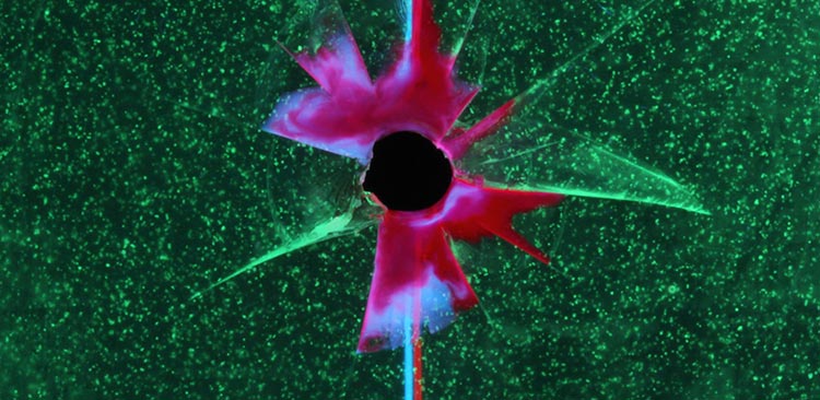 Overhead view of a material after impact damage. The impact event ejected material from the center of the damage region and creates radial cracks. The damage is being restored by a hybrid self-healing approach to separately target the central puncture and radial cracks. New restorative materials are delivered in two isolated fluid streams (blue and red) to fill the central puncture. Microcapsules (green) dispersed throughout the material rupture and heal the radial cracks.