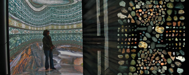 Senior Fellow Lisa Frank incorporates nature photography into an immersive 3D virtual environment.