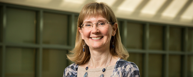 New funding awarded to Susan Schantz, a professor of comparative biosciences, will build on her established research that assesses effects of prenatal exposure to chemicals on child development.