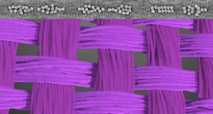 Combined images of a parachute textile used in this study. The top image shows a black-and-white micro-CT scan of the fibers, which are depicted as grouped circles. The bottom image is a 3D rendering of the textile, with the fibers colored purple.