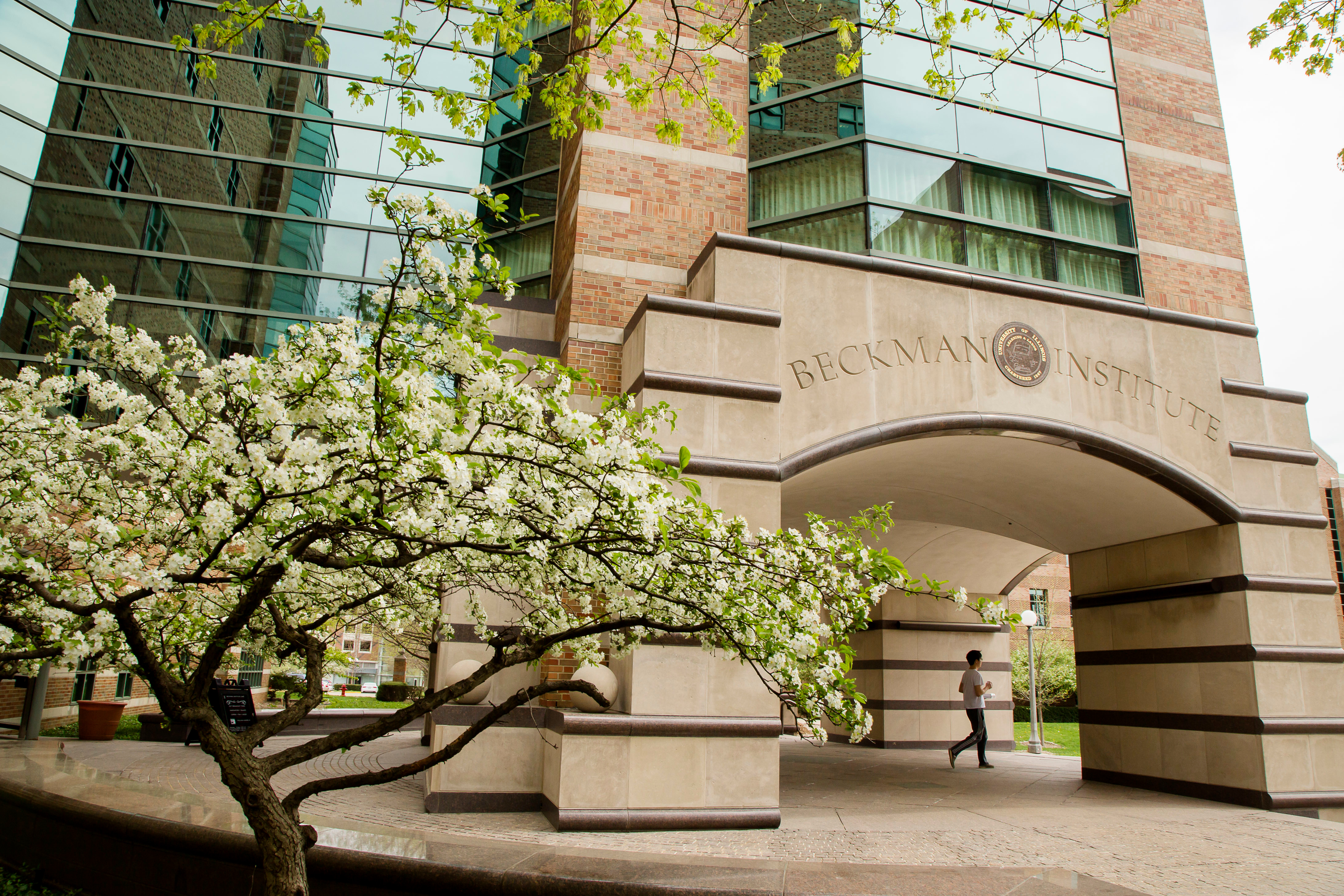 The Beckman Institute's south-facing entrance in springtime, featuring a blossoming tree in front.