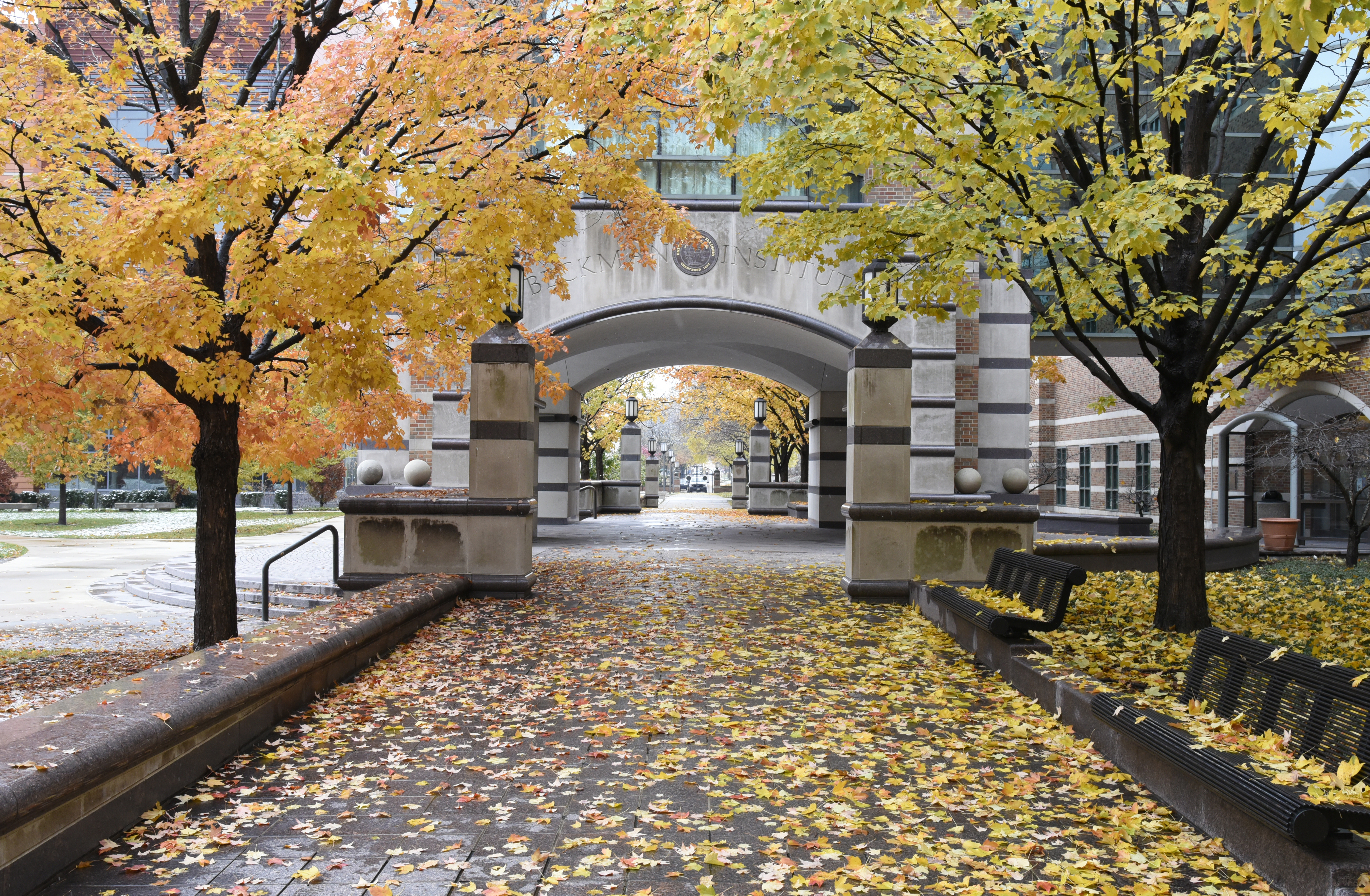 Beckman's rotunda entrance is carpeted in fall leaves
