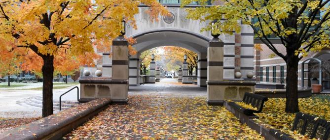 Vibrant fall leaves blanked the Beckman Institute's east-facing rotunda entrance.
