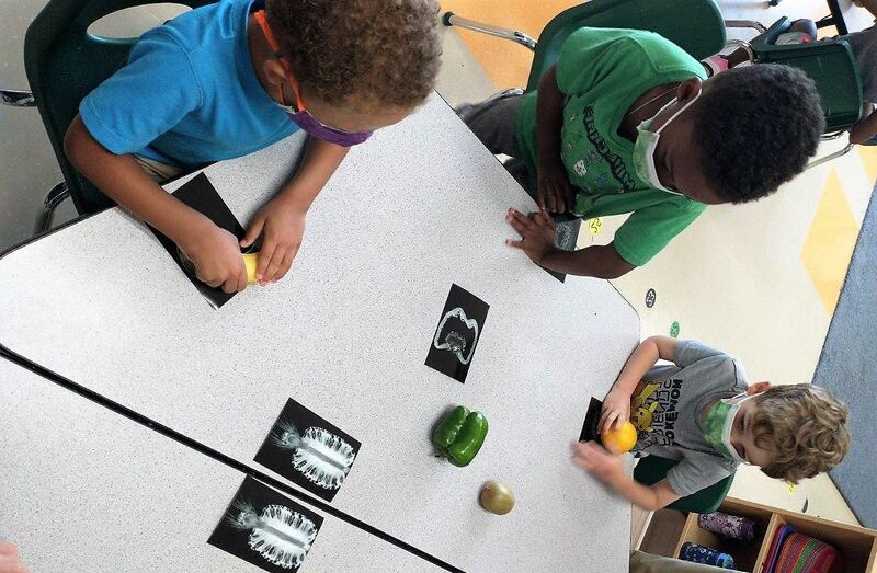 Preschoolers learning about MRI