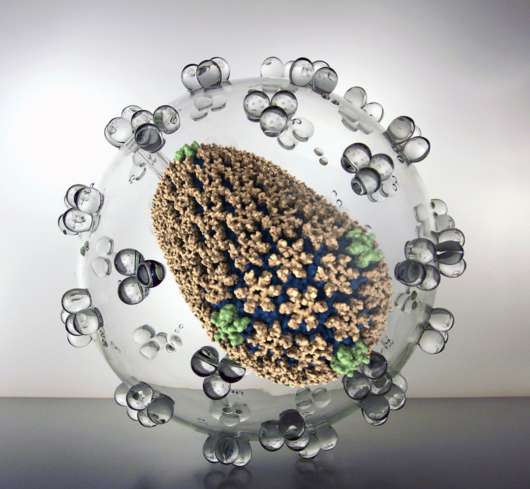 A simulation of the HIV capsid, as developed by the Theoretical and Computational Biophysics Group at the Beckman Institute at UIUC.