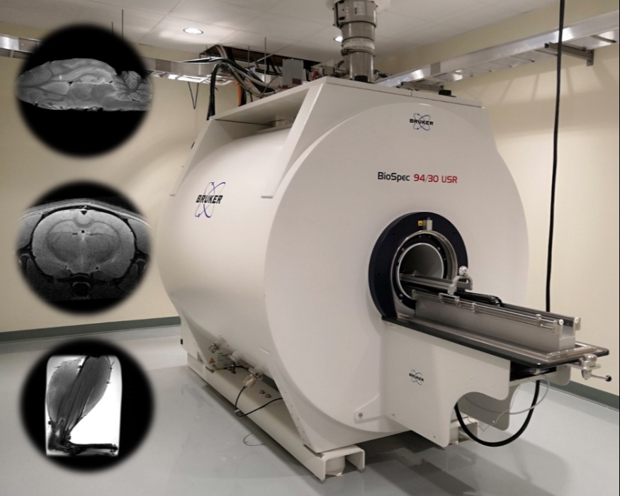 9.4 Tesla MRI Scanner