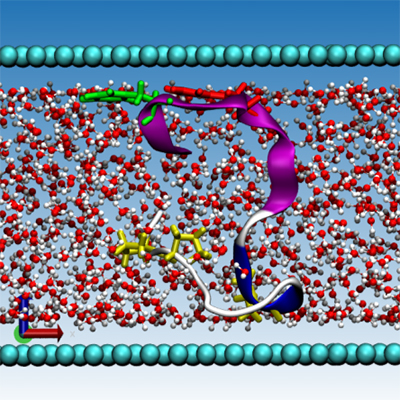 image for Zhikun Cai's talk