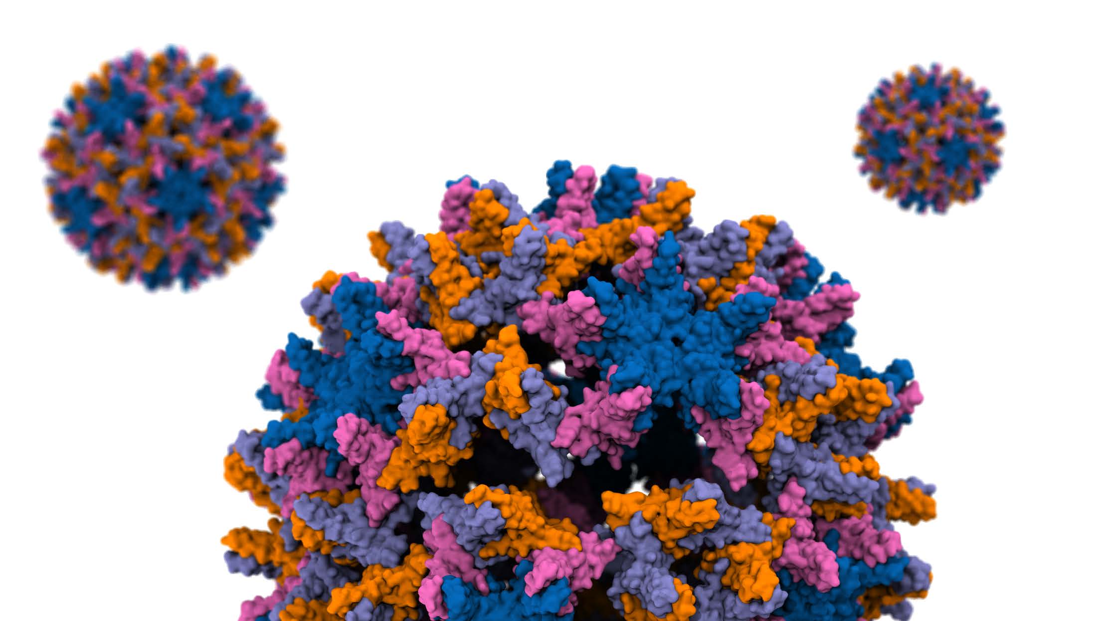 High resolution rendering of a viral capsid