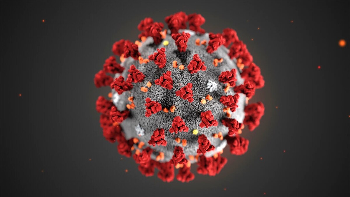 An image of the COVID-19 virus