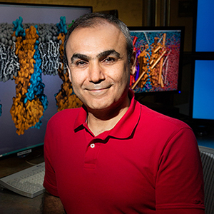 The researchers collaborated with the NIH Center for Macromolecular Modeling and Bioinformatics at the Beckman Institute, led by Emad Tajkhorshid, a professor of biochemistry, biophysics, and bioengineering.