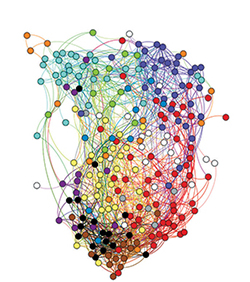 One example of a functional connectivity state of the brain in topological space, a result of applying complex network theory to the brain.