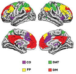 Regional networks as coded by color: cinguloopercular (CO), frontoparietal (FP), default mode (DM), and dorsal attention (DAT).