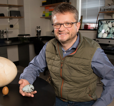 Mark E. Hauber, professor of animal biology