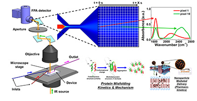 Research image from Hyukjin Jang