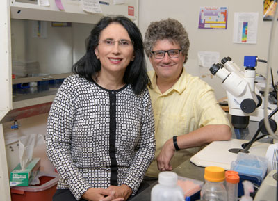 Sandra L. Rodriguez-Zas and Jonathan V. Sweedler are co-authors on a recently published paper that investigates the pathways involved in opioid-induced hyperalgesia.