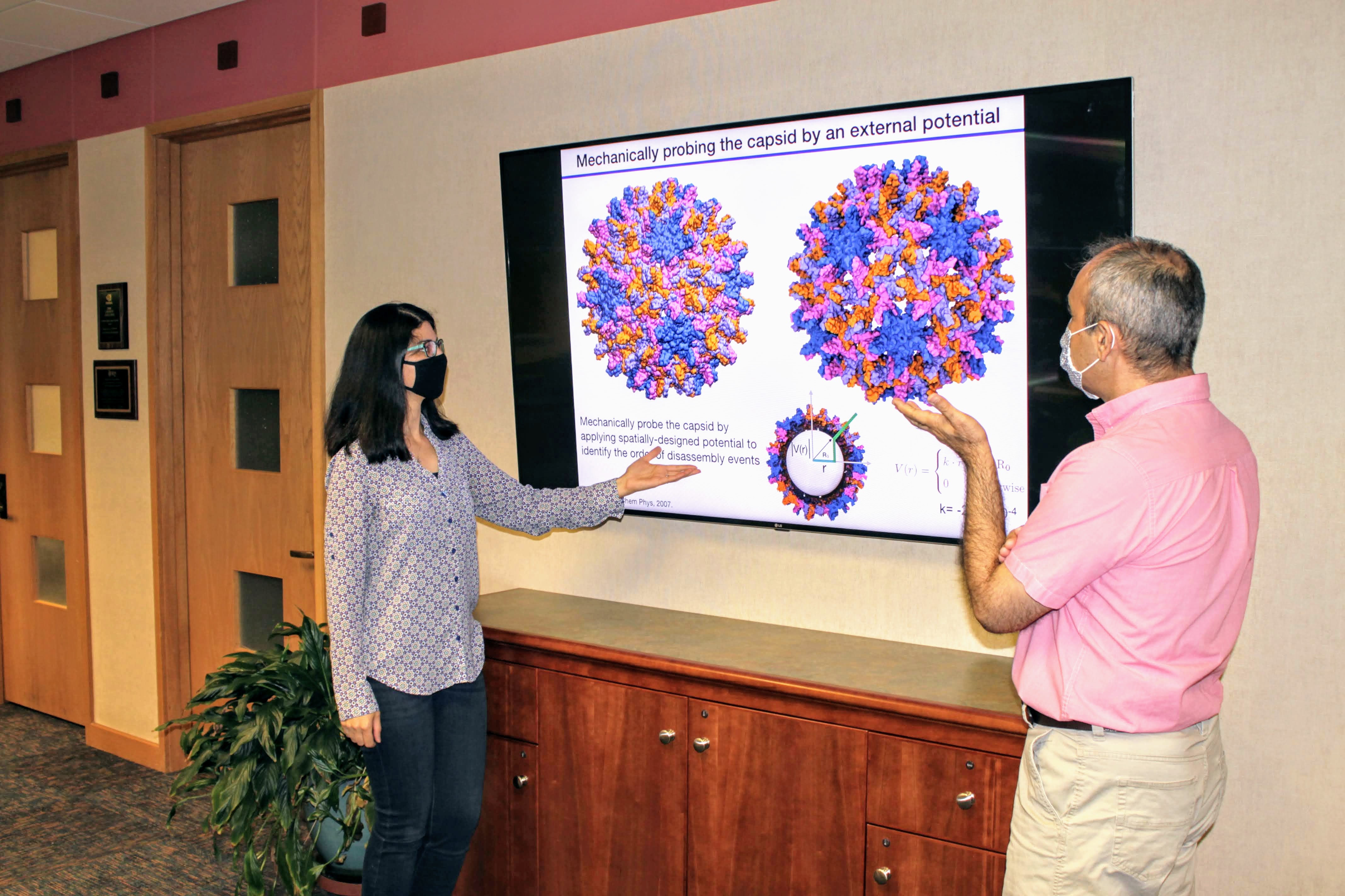 Zhaleh Ghaemi and Emad Tajkorshid give a presentation about capsid disassembly.