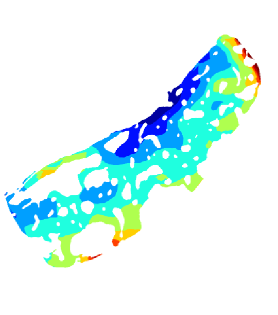 Image of bone cross-section after VIC-Volume analysis. Like a depth indicator on a map, the colors represent different strain values.