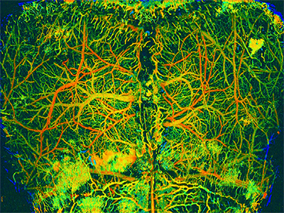 image for Jorge Tordera Mora's talk