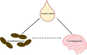 Gut microbiome and brain