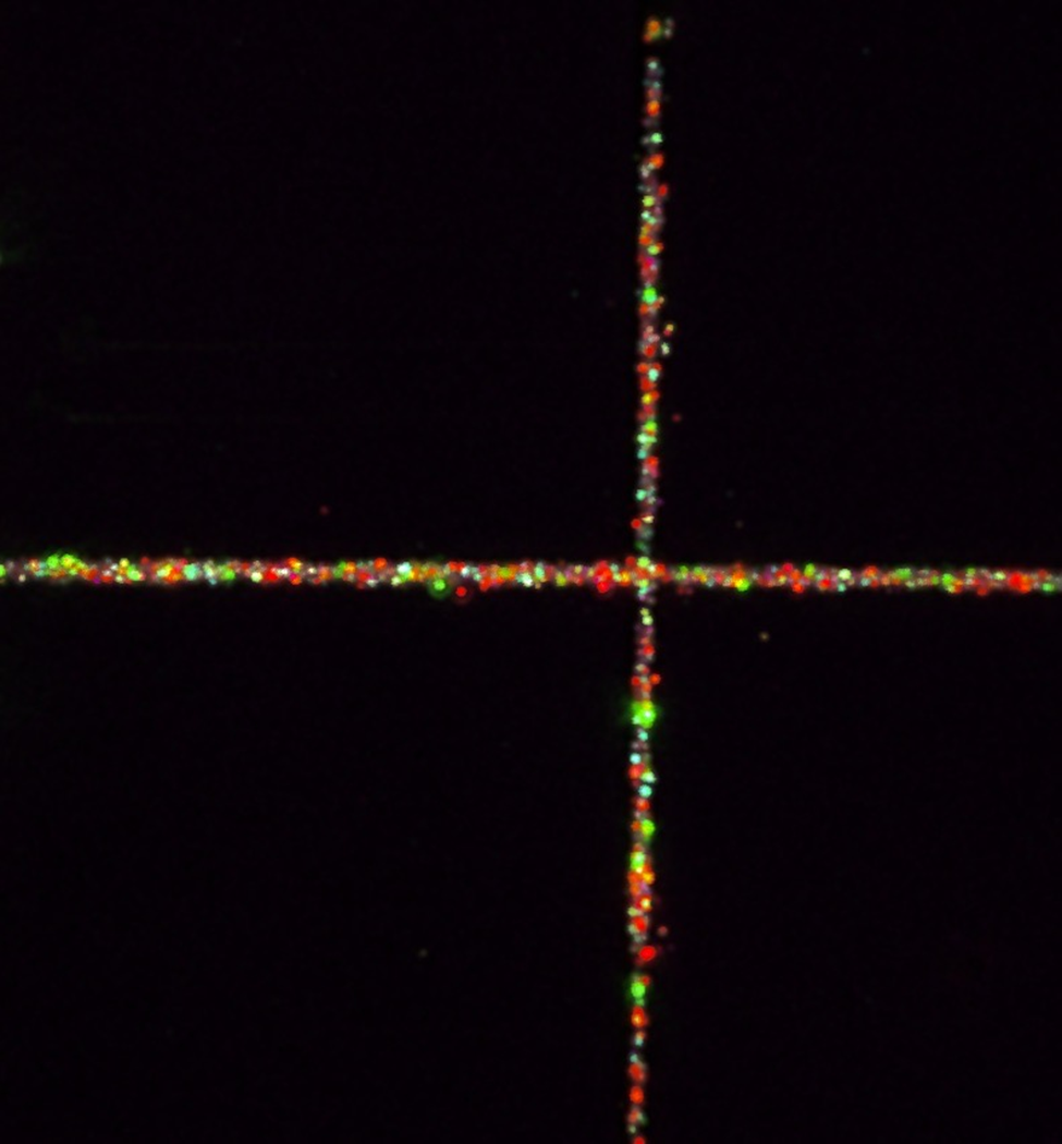 Microscopy image of viewfinder grid with embedded nanodiamonds