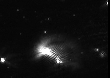 A nanoparticle measured by the NanoSight NS300.