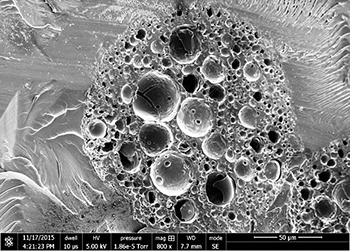 Core shell of polynuclear capsule