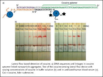 Lateral Flow Based Detection of Cocaine