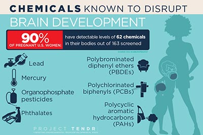 Chemicals Known to Disrupt Brain Development
