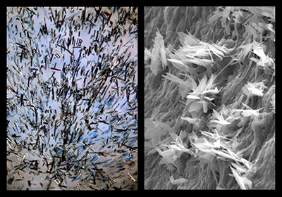 Images by Elizabeth Murphy and Andrey Nosatov.