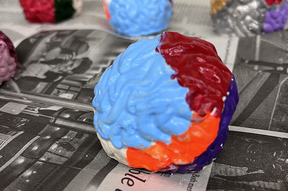 Painted plaster brain
