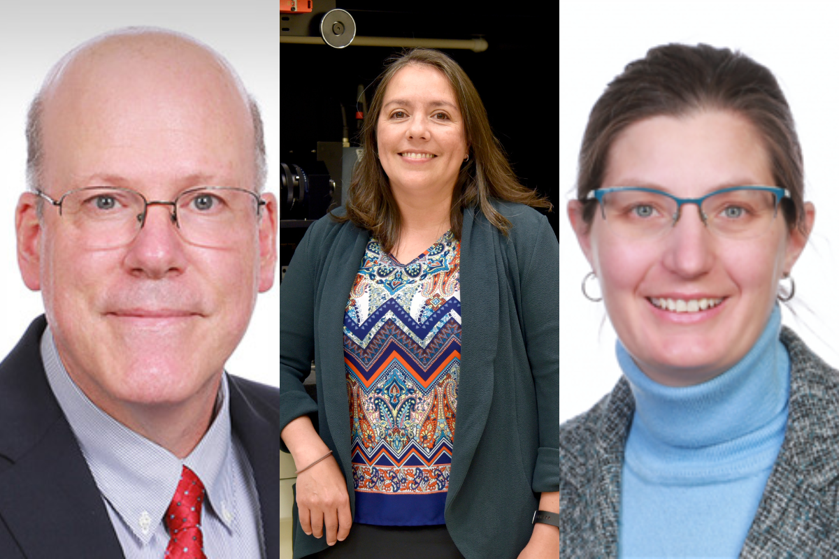 Side-by-side headshots of Bruce Damon, Mariana Kersh and Christina Laukaitis.