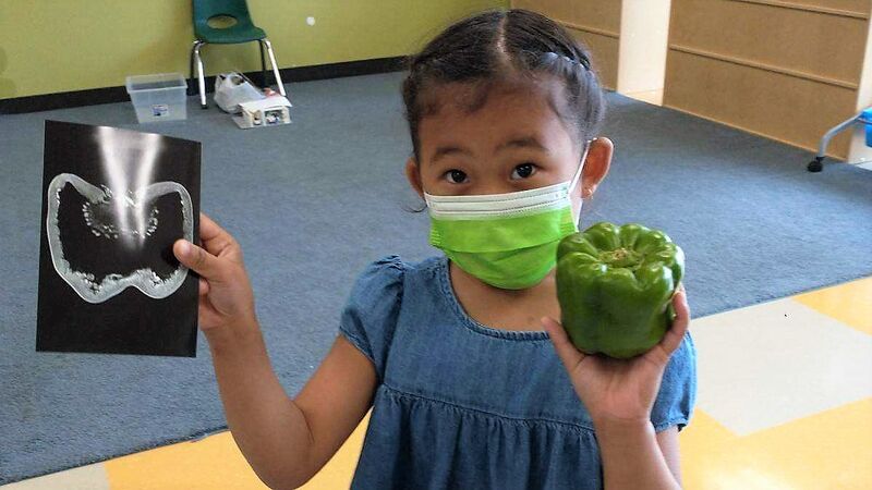 Preschooler holds up pepper and MRI image of a pepper