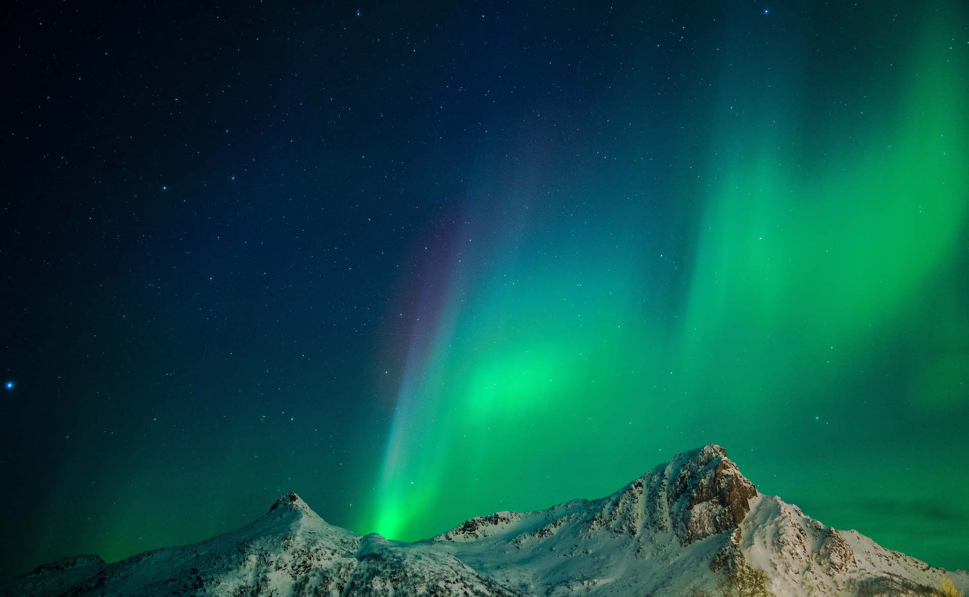 The Northern Lights, as photographed by Yamuna Phal.