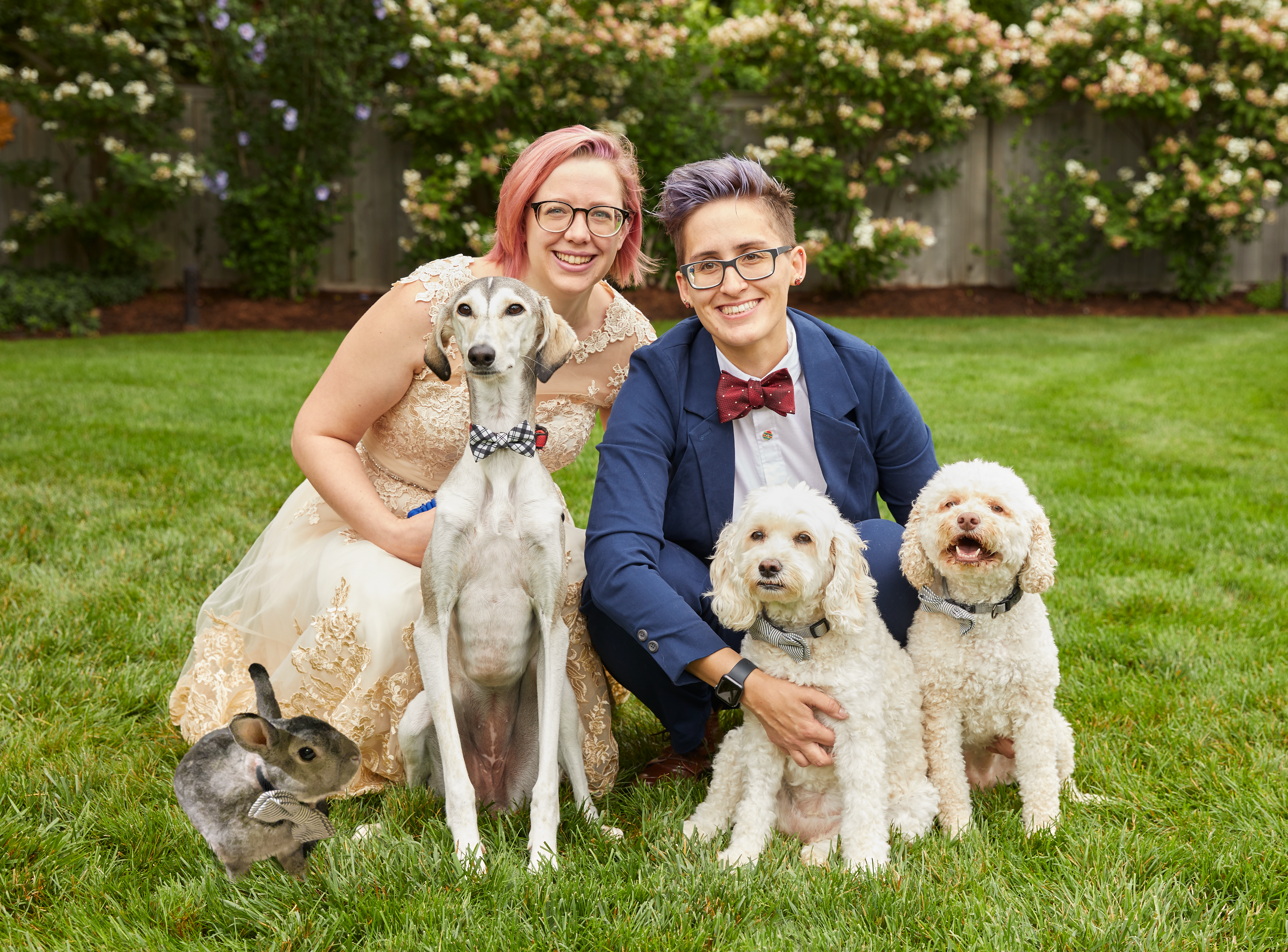 Tanya Josek, their wife, and their three dogs posed in formal attire for a wedding photo. Their pet rabbit is photoshopped into the image.