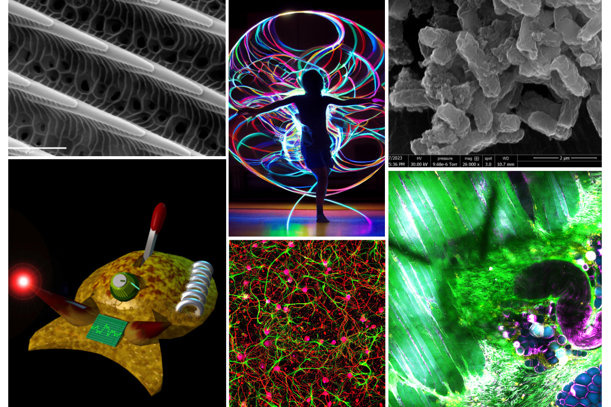 Six winning research images from the 2023 Beckman Institute Research Image Contest.