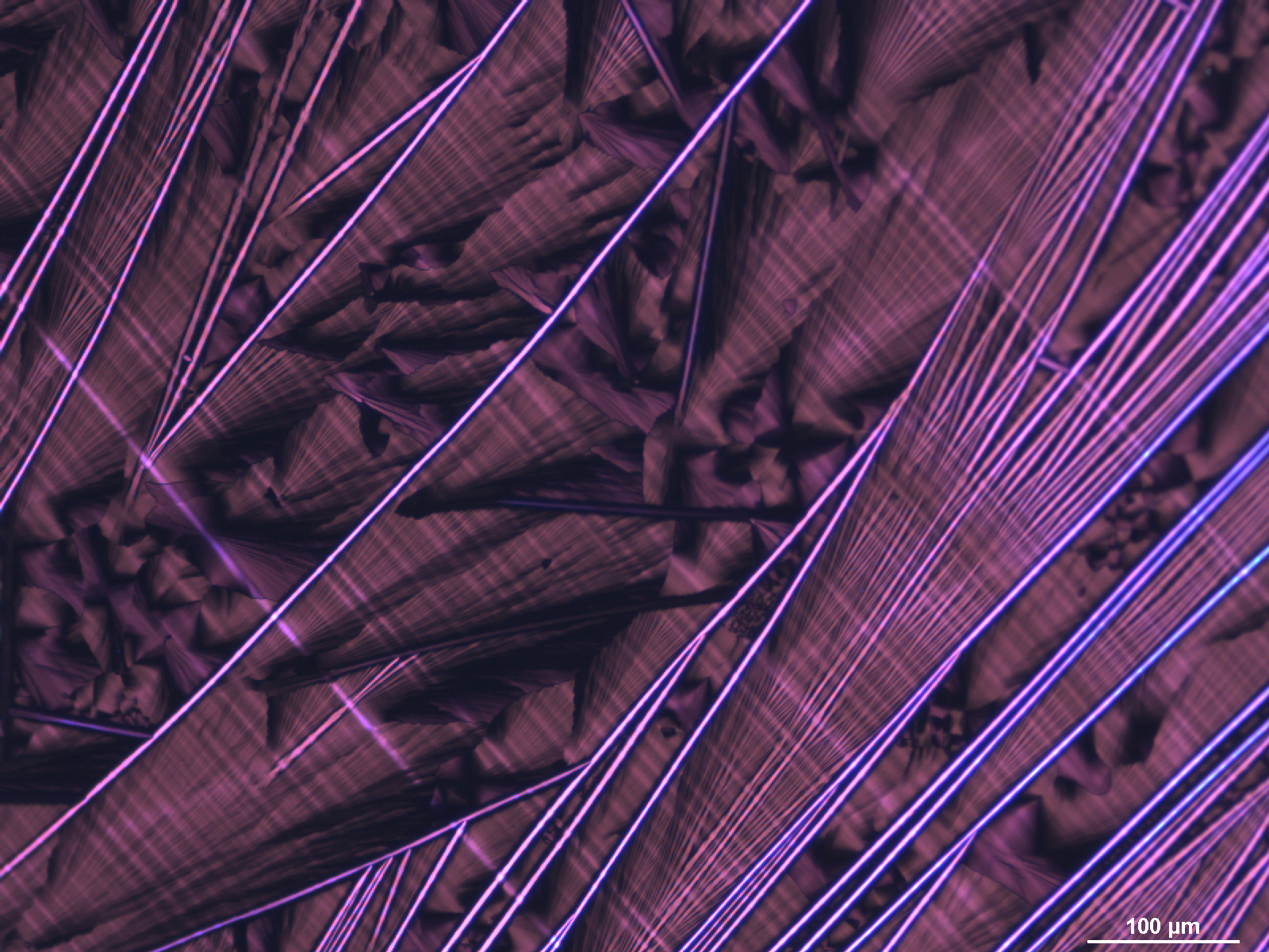 A polarized optical microscopy image of a nanothin film, which looks like neon purple lines against a darker purple backround