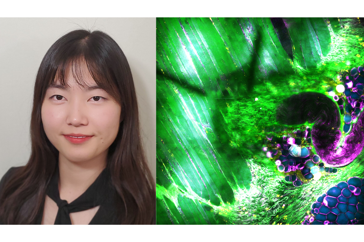 Jaena Park and her winning research image, 