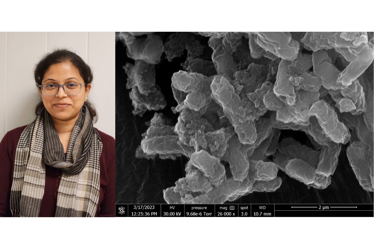 Jayashree Nash and her winning research image: Nanoplastics and bacteria are in a bind